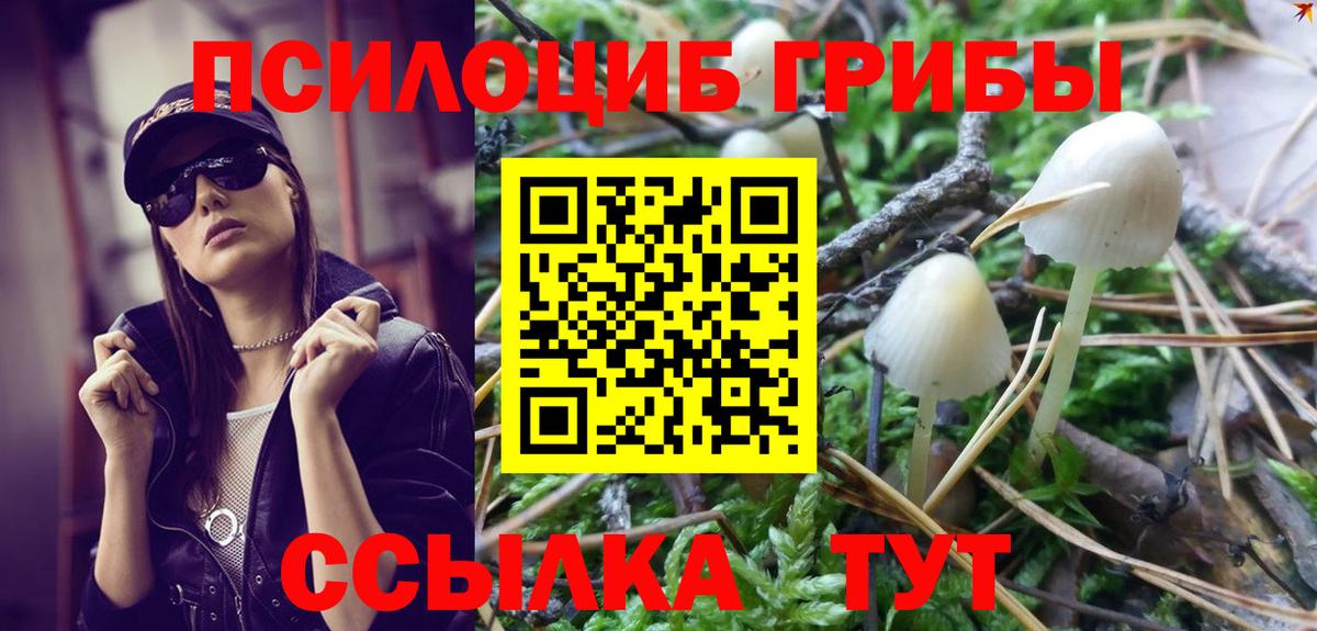 Псилоцибиновые грибы Psilocybine cubensis Нижнекамск